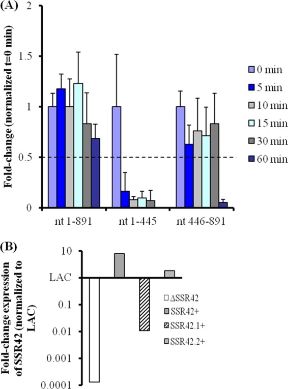 Fig 10