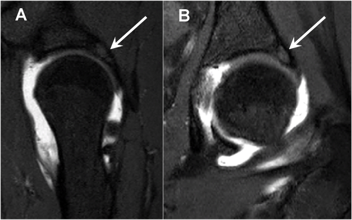 Fig. 5