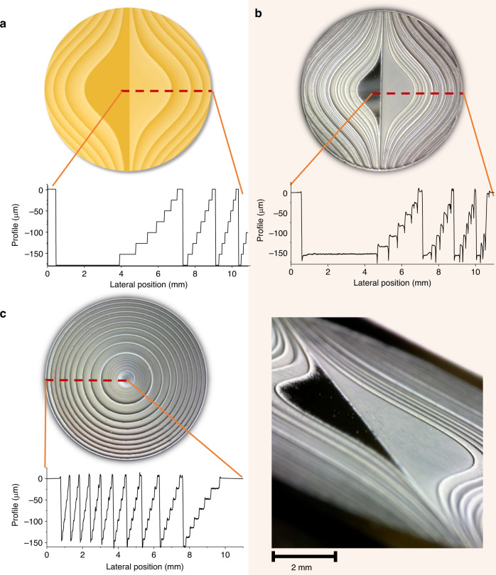 Fig. 1