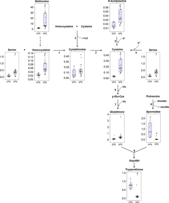 Figure 7.