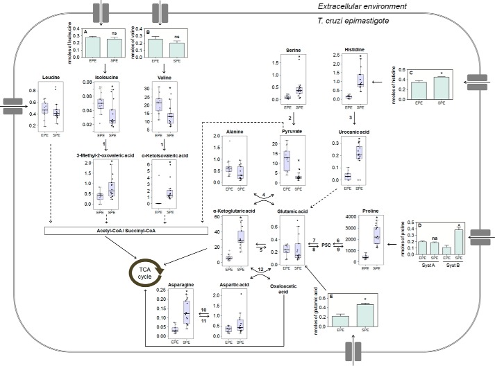 Figure 5.