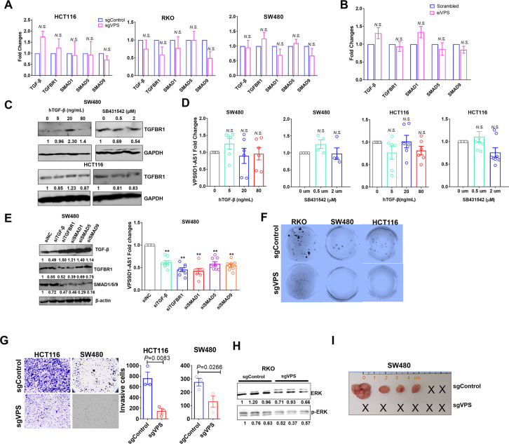 Figure 3—figure supplement 2.