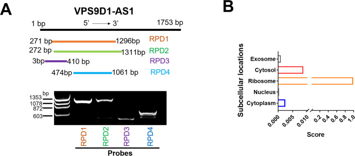 Figure 3—figure supplement 3.