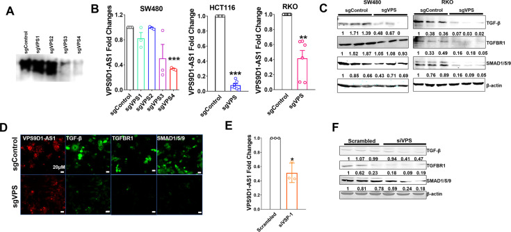 Figure 3—figure supplement 1.