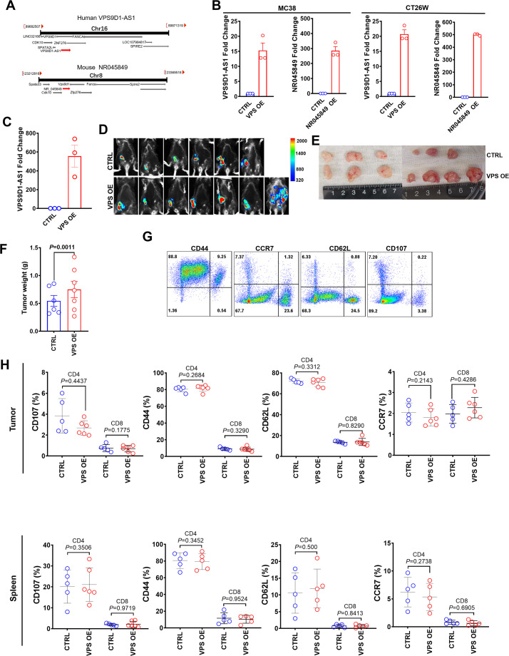 Figure 6—figure supplement 1.