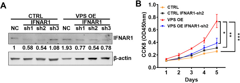 Figure 7—figure supplement 2.