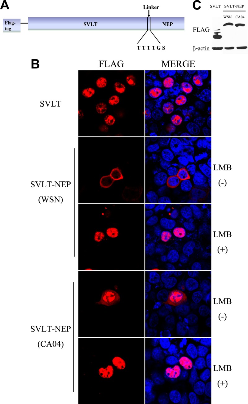 FIG 4