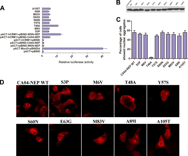 FIG 6