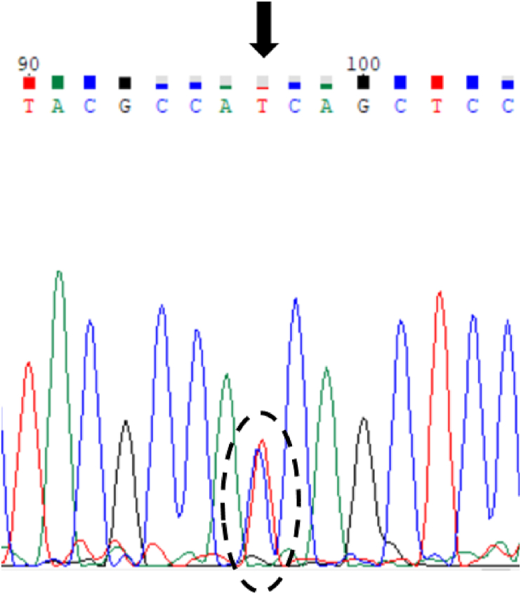 Figure 1