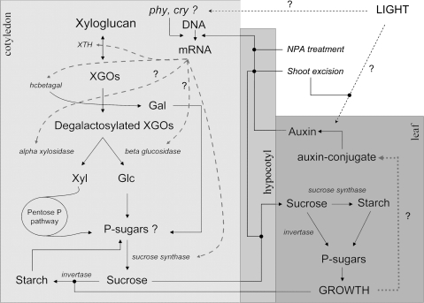 Fig. 8.