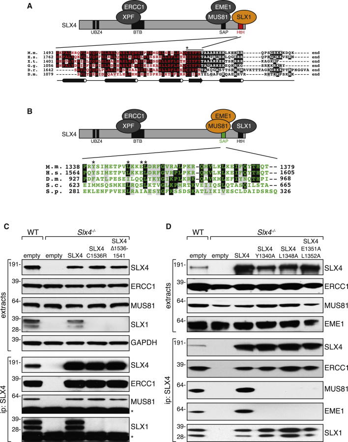 Figure 4