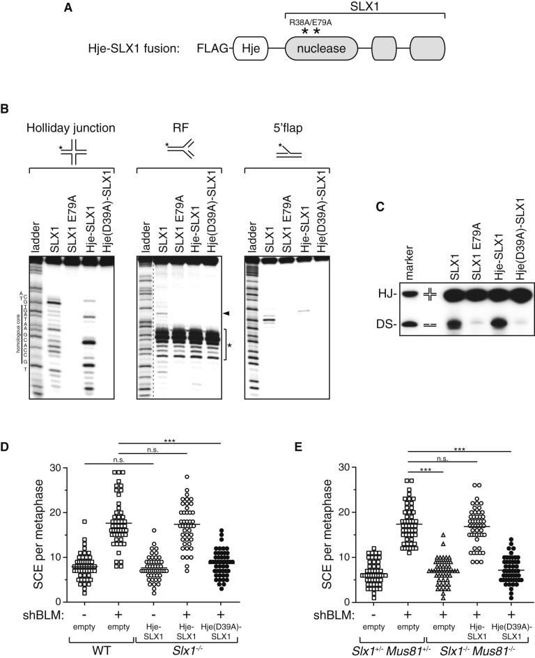 Figure 6