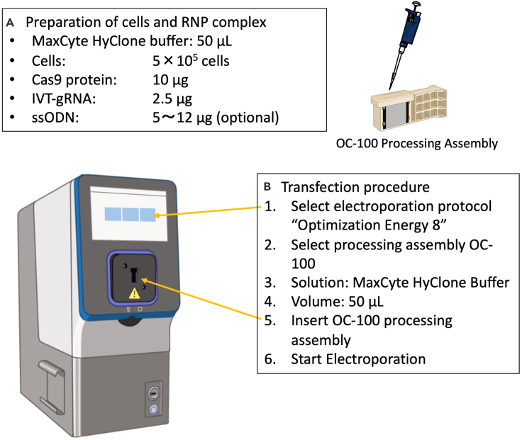 Figure 2