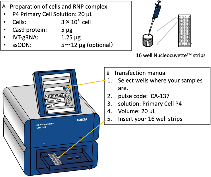 Figure 3