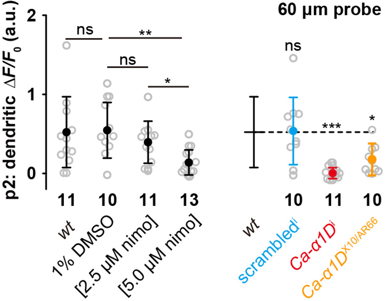 Figure 6—figure supplement 1.