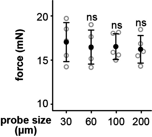 Figure 2—figure supplement 3.