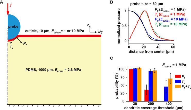 Figure 4—figure supplement 1.