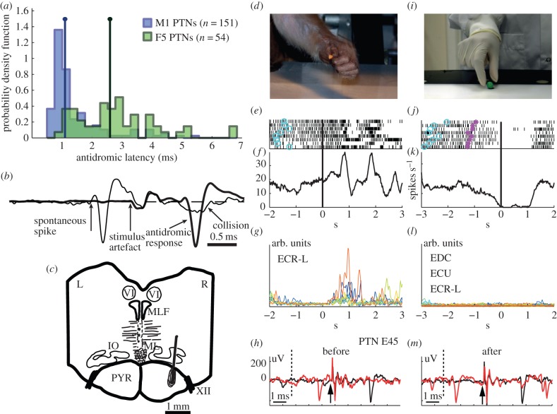 Figure 1.