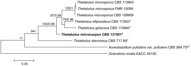 graphic file with name per-34-167-i015.jpg