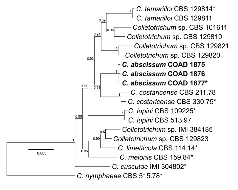 graphic file with name per-34-167-i007.jpg