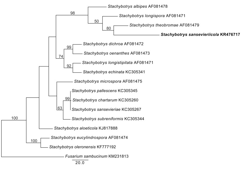 graphic file with name per-34-167-i001.jpg