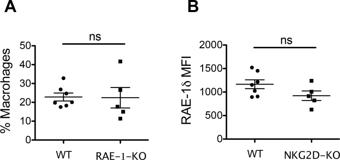 Figure 7—figure supplement 1.