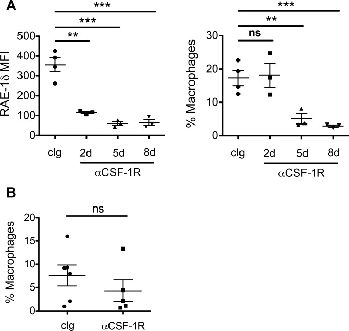 Figure 4—figure supplement 1.