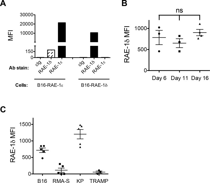 Figure 1—figure supplement 2.