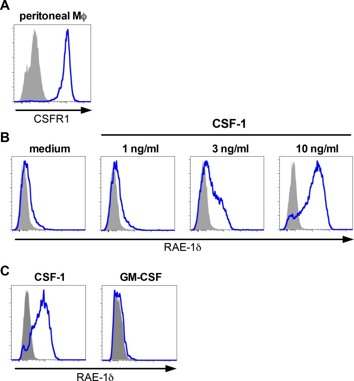 Figure 2—figure supplement 1.