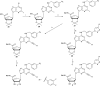 Fig. 1.