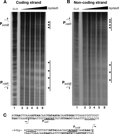 FIG. 6.