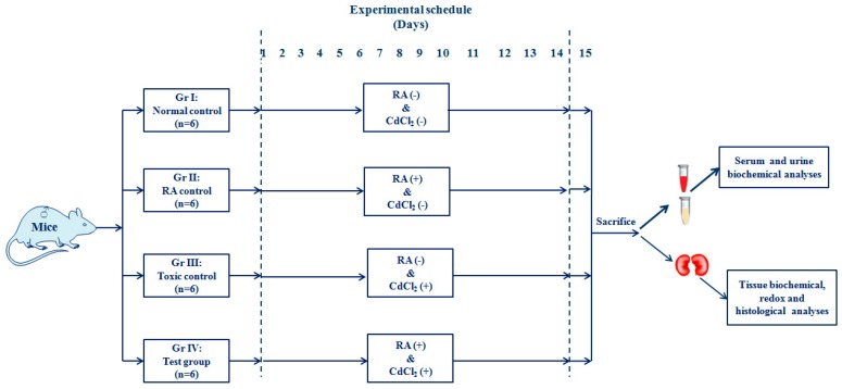 Figure 13