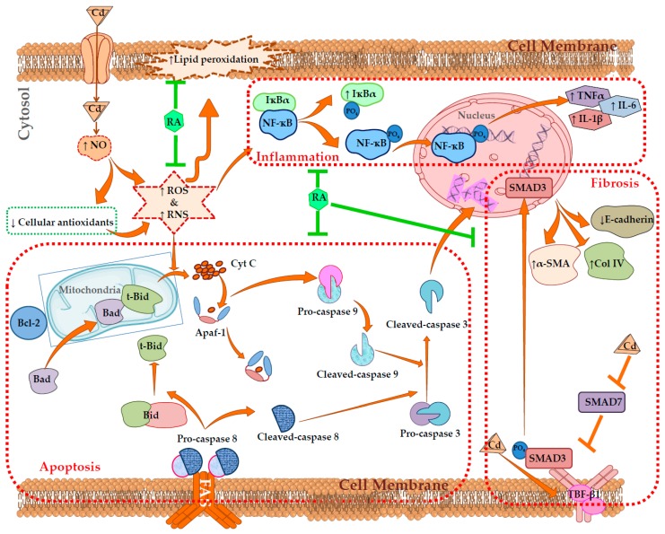 Figure 14