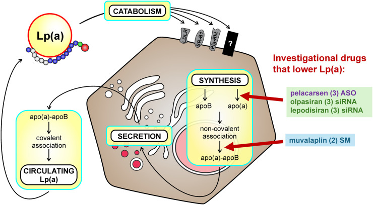 Figure 3.