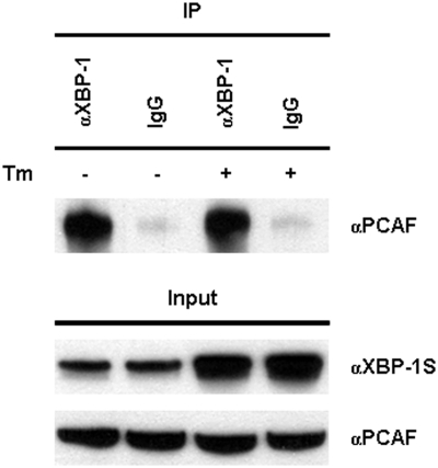 Figure 9.