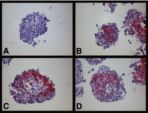 FIG. 2.