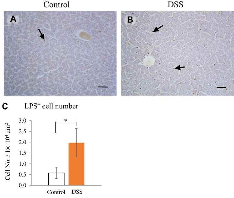 Figure 6