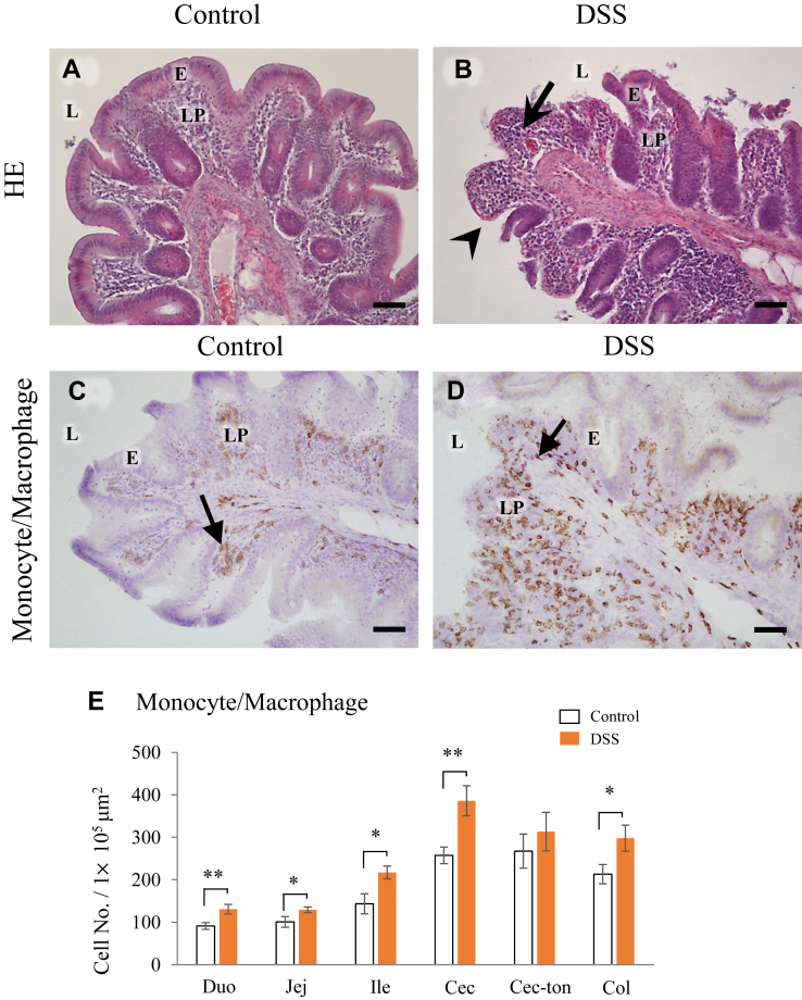 Figure 3