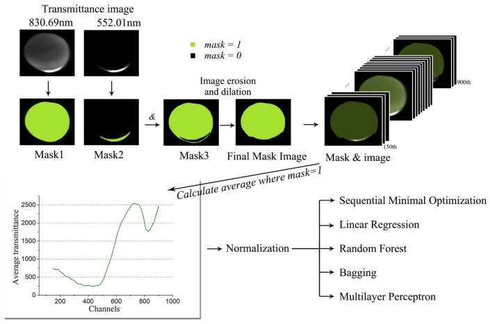 Figure 7