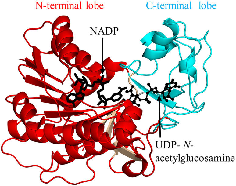 Fig. 3