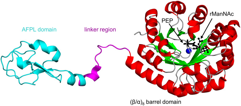 Fig. 7