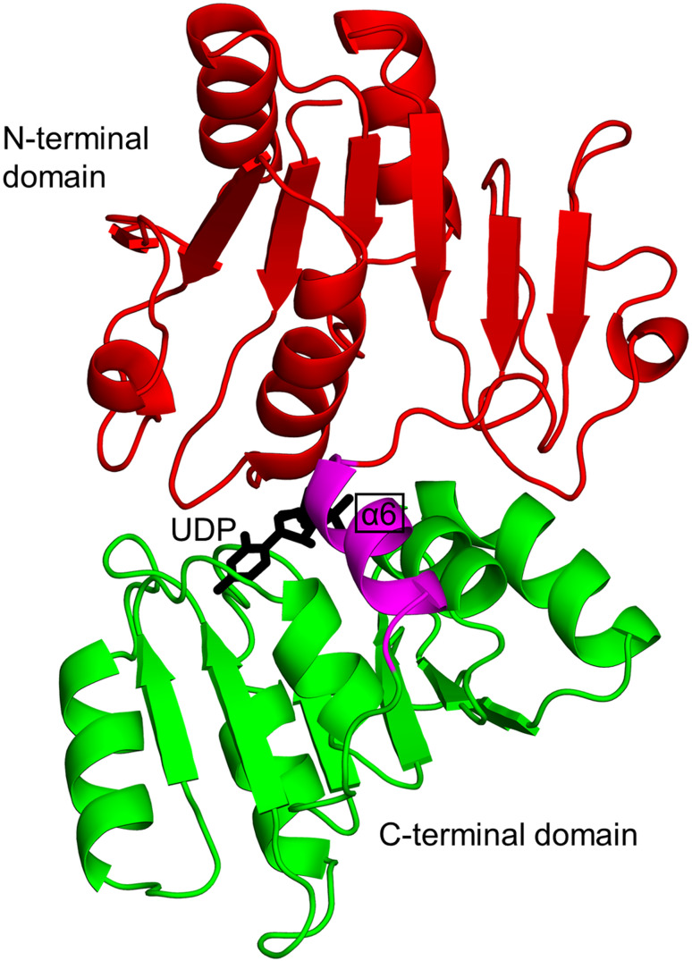 Fig. 6