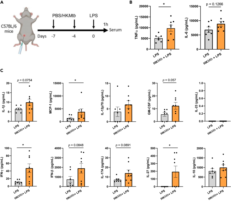 Figure 4