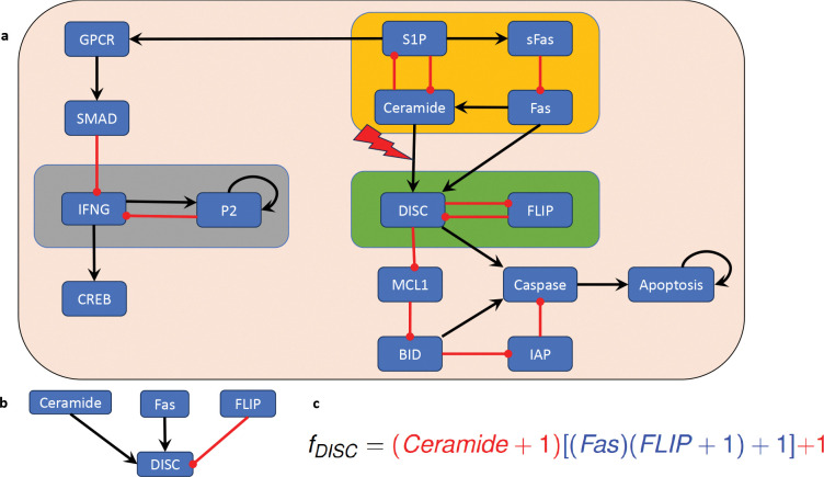 Figure 5: