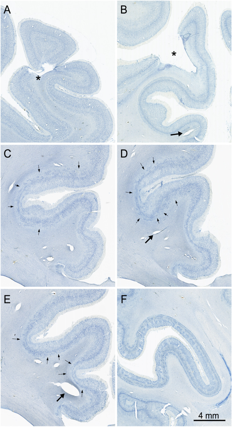 Fig. 9.