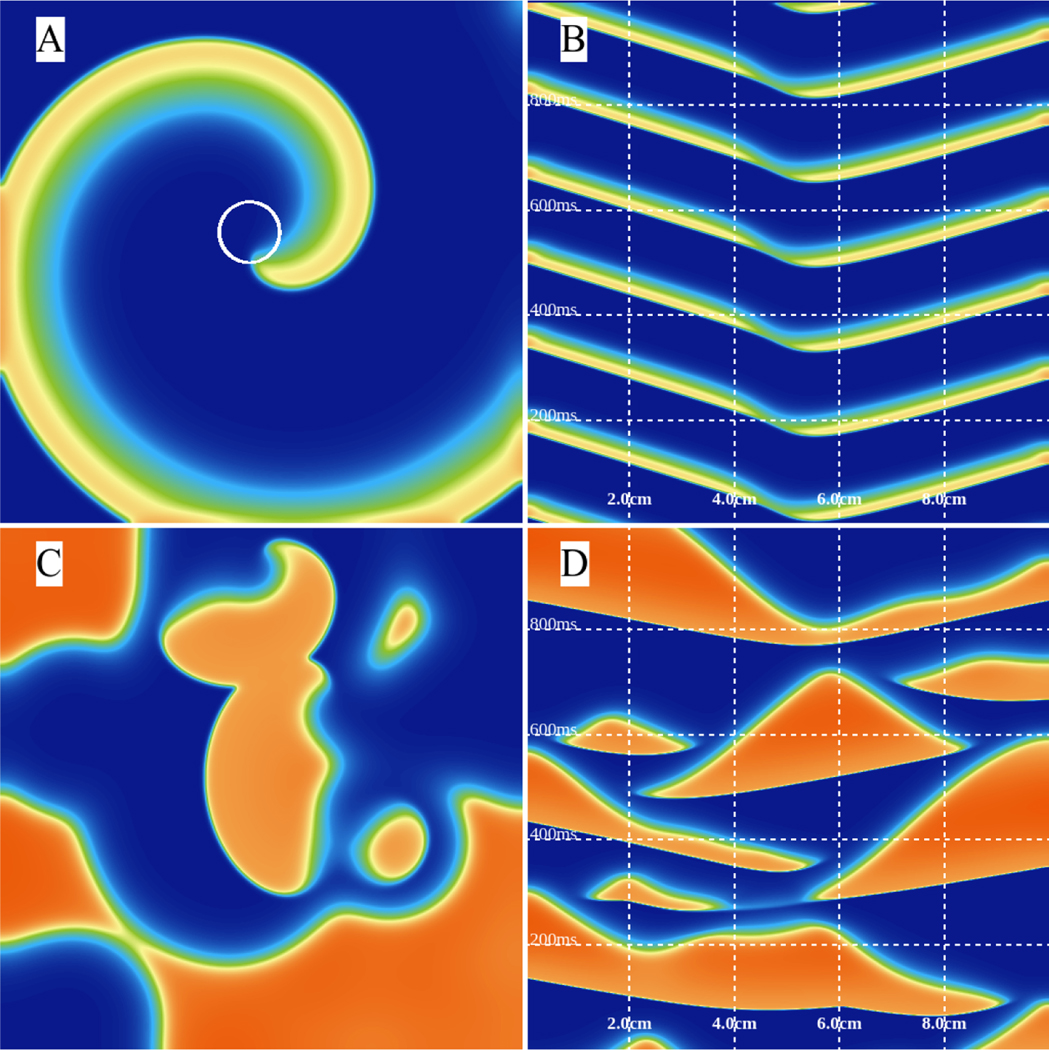 Figure 14: