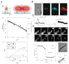 Figure 11.