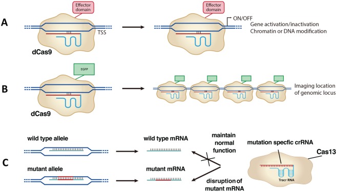 Figure 4.