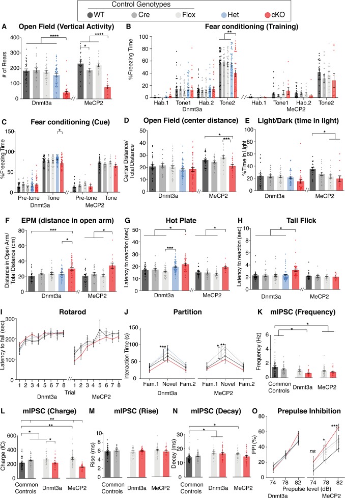 Figure 1—figure supplement 2.