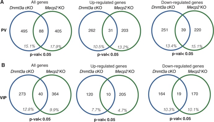 Figure 3—figure supplement 2.